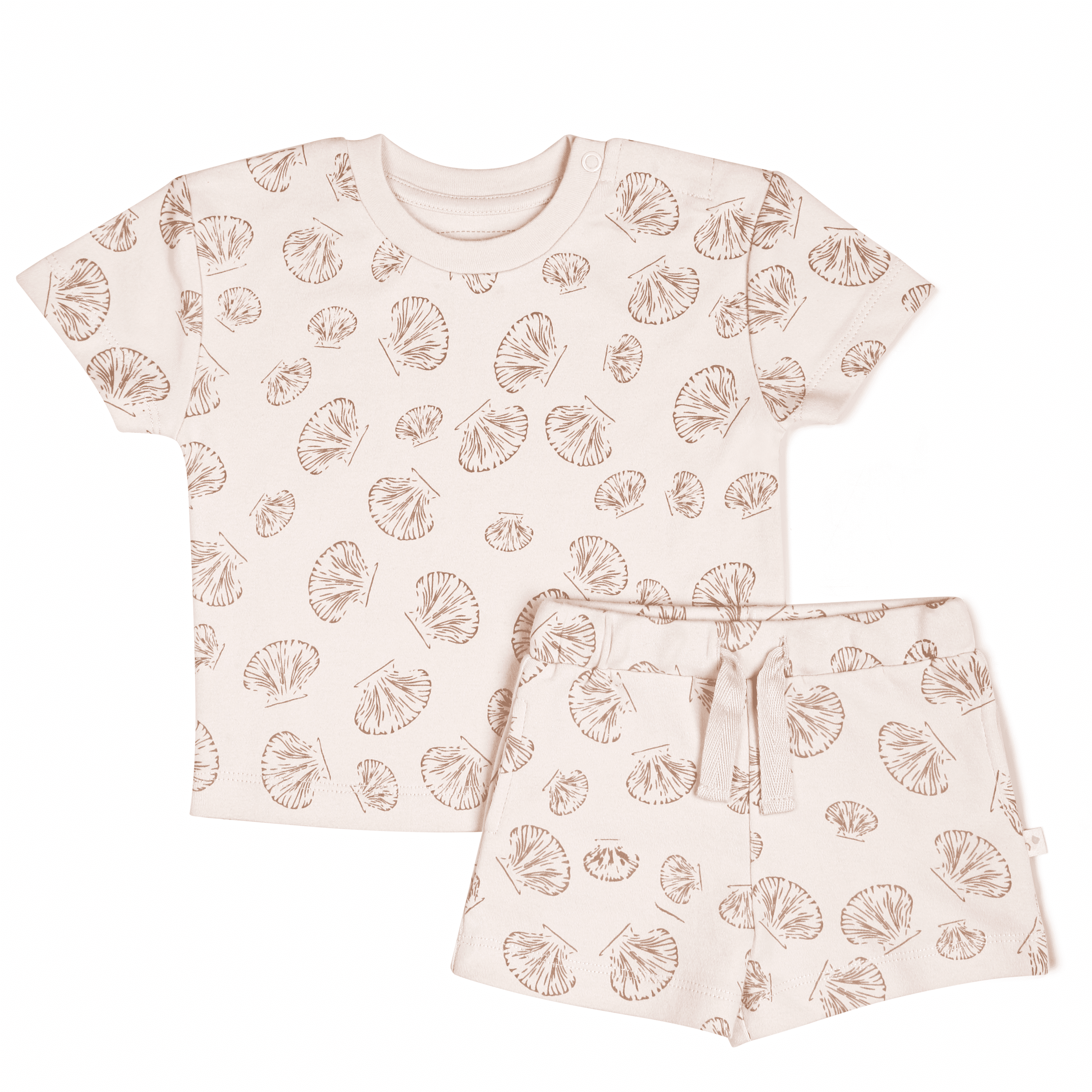 Organic Tee And Shorts Set – Seashells