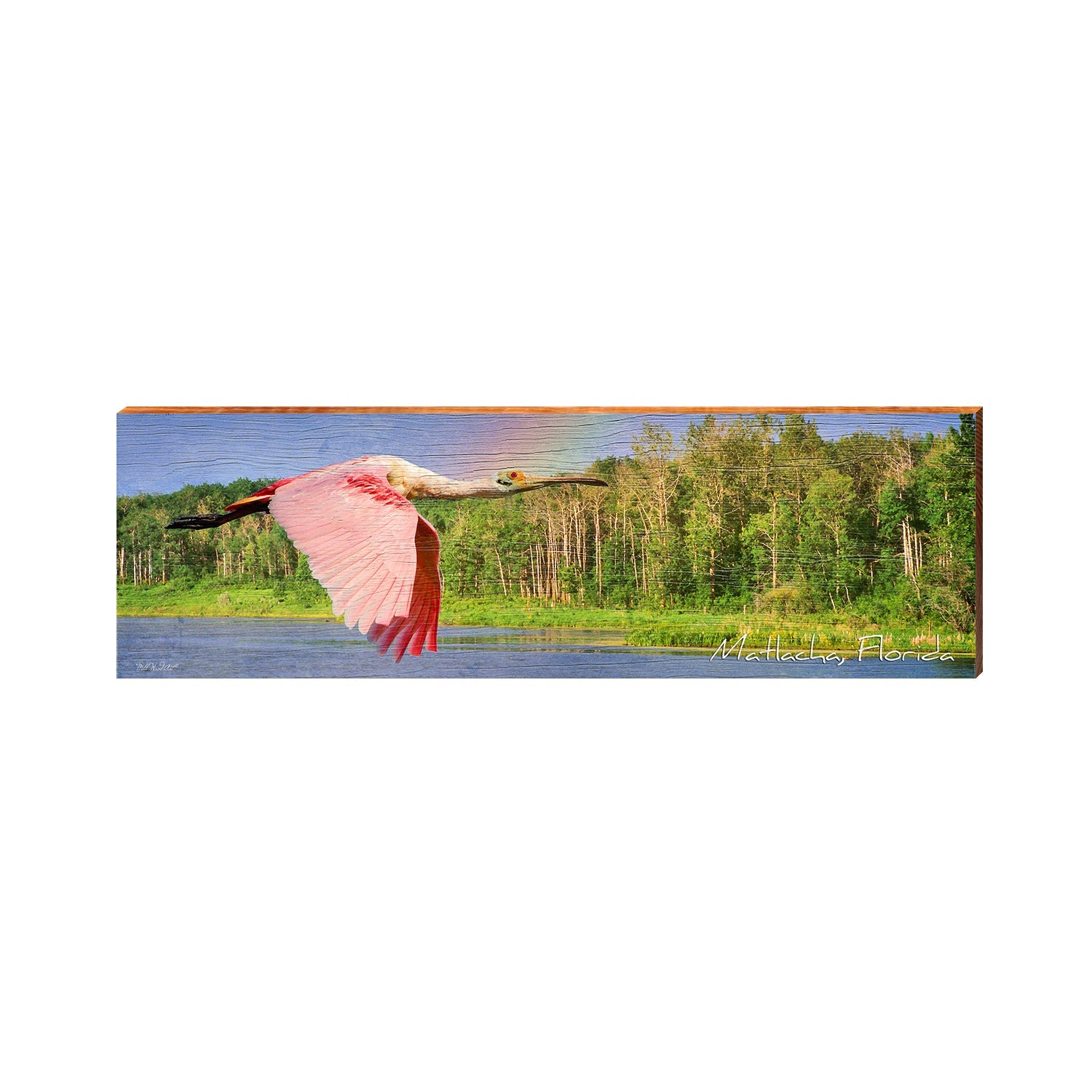 Matlacha, Florida Spoonbill Sign | Wall Art Print on Real Wood