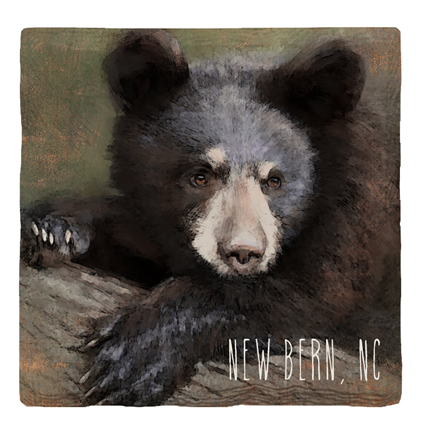 New Bern, NC Black Bear | Drink Coaster