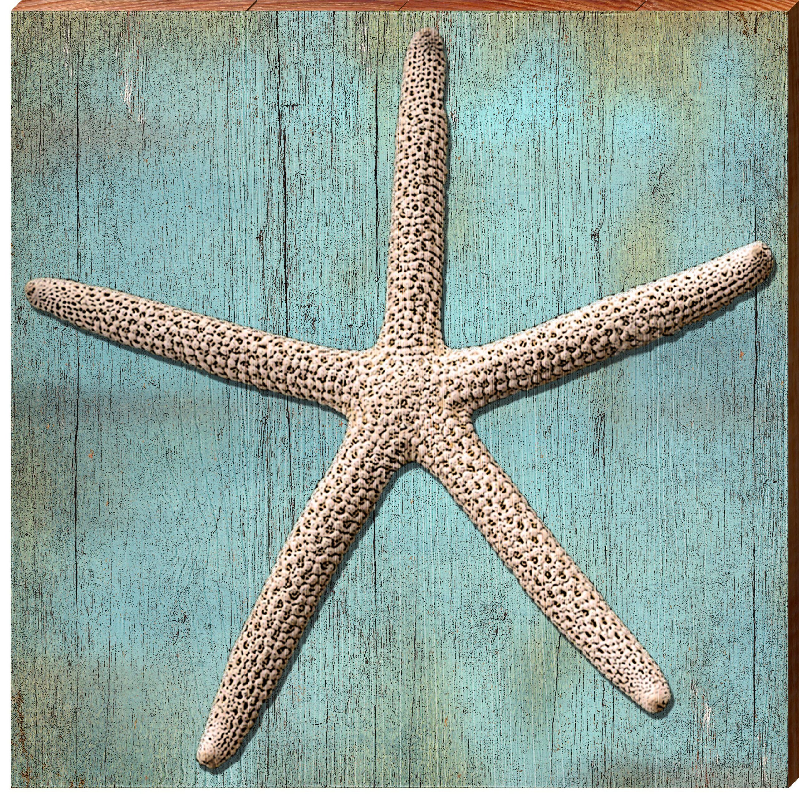 Starfish Blue | Wall Art Print on Real Wood